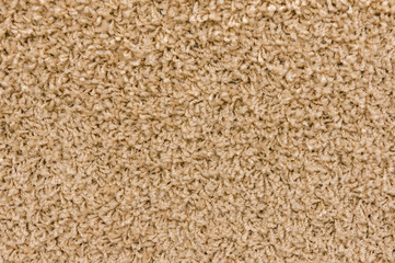 carpet. Background. Textile texture.