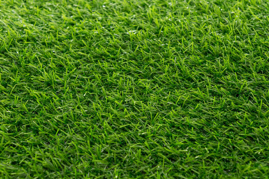 Green grass texture background pattern