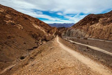 Fototapeta na wymiar mosaïque canyon 