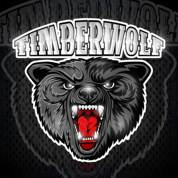 Beast wolf face from the front view with bared teeth. Logo for any sport team timberwolf