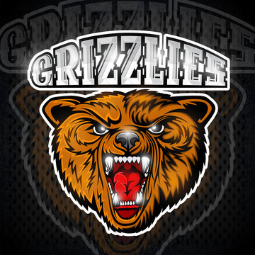 Beast bear face from the front view with bared teeth. Logo for any sport team grizzlie
