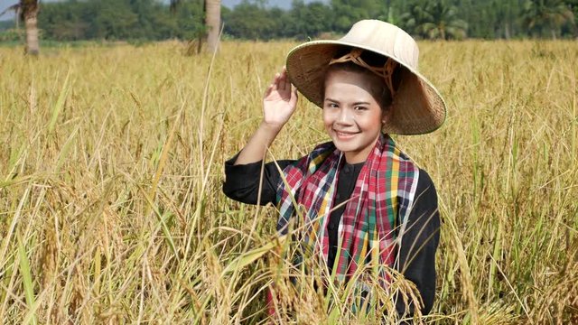 4k video of farmer woman smiling and looking around in rice field, Thailand