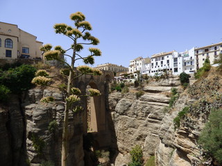 Naklejka premium Ronda,municipio español perteneciente a la comunidad autónoma de Andalucía, situada en el noroeste de la provincia de Málaga (España)