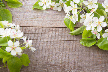 Spring blossoming branches of a fruit flower on a wooden board. Copy space.