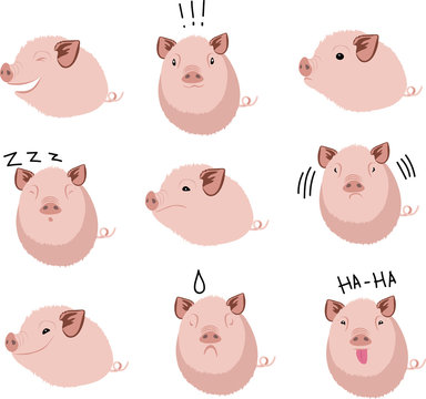 cute chubby pig farms cartoon character