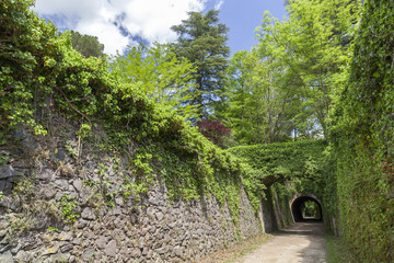 Landscape in Garrotxa region,touristic route,Ruta del carrilet in Olot,Catalonia,Spain.