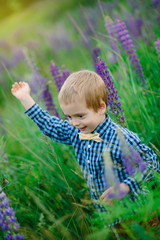 Naklejka na ściany i meble Portrait of handsome smiling and happy caucasian boy with flower, lupine, summer, in backgrounds green grass..