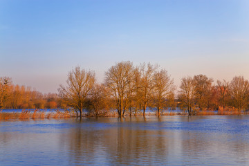 Obraz premium countryside landscape representing flooded trees under rising waters