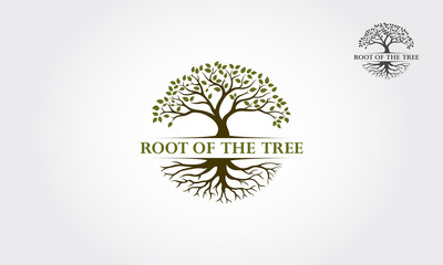 Root Of The Tree logo illustration. Vector silhouette of a tree.