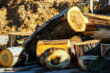 processed wood waste and wood shavings