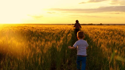 Foto op Canvas Child boy runs to catch his mother in the golden wheat field - 2 © julia_diak