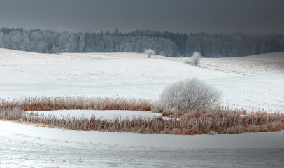 Zimowe Szrony  © Wojciech Lisiński