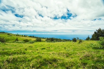 Fototapeta na wymiar Panorama sur les pâturages dans les hauteurs de 3 bassins à La Réunion
