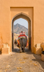 gate with elephant back, Amber Fort, Jaipur, Rajasthan