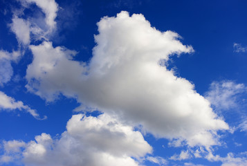 Dreaming Bird, cloud shaped as bird