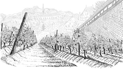 Vineyard landscape with old town in the valley and castle wall. Hand drawn sketch vector illustration on white