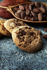 Chocolate cookies on grey table. Chocolate chip cookies shot
