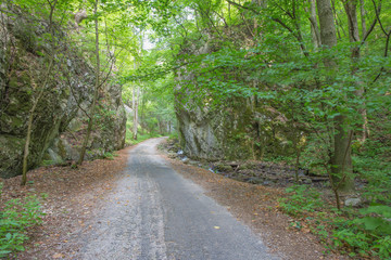 Fototapeta na wymiar Slovakia - The the way in Zadielska valley in national park Slovensky Kras.