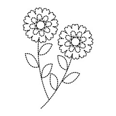 two flowers decorative spring image vector illustration