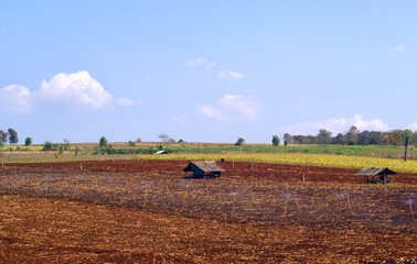 Obraz premium landscape of nature and blue sky