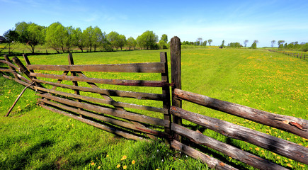 Panoramic view of wetlands and meadows with a vintage wooden fence by the Biebrza river in Poland