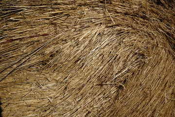 round bales of straw and hay