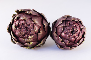 Roman Artichoke (Cynara scolymus) on white background, Carciofi Romaneschi, Roma, Italia