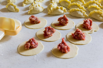 homemade ravioli