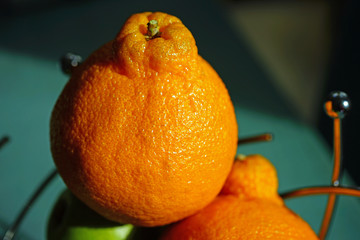 Sumo citrus giant mandarin orange fruit