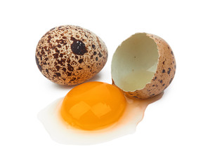 quail eggs isolated