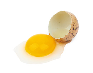 quail egg isolated
