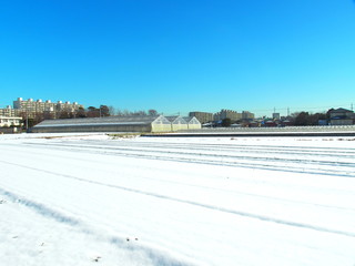 雪の畑風景