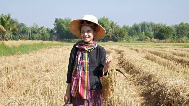 4k video of farmer woman walking with tiffin carrier in rice field, Thailand