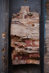 texture - a piece of old wood - background