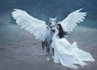 Beautiful, young elf, walking with a unicorn. An unbelievable white dress with long sleeves and a...