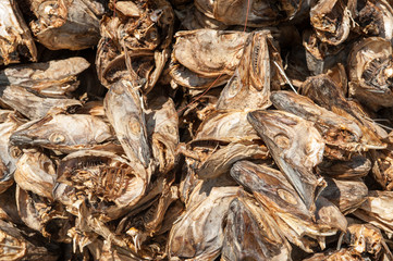 Dried cod fish heads waiting to be exported from Lofoten in northern Norway to Italy and served as fish head soup on Italian dinner tables.