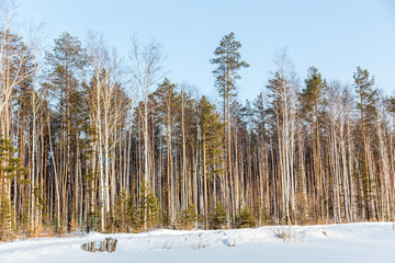 Ekaterinburg, Russia - wood in winter