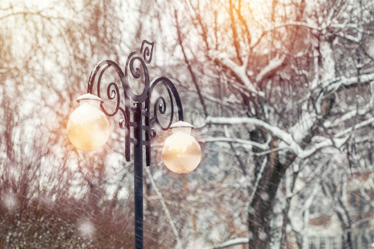 Beautiful winter background with trees cover snow and street light. Snow falls, toned photo, cope space.