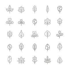 set of monochrome icons with vector leaves for your design
