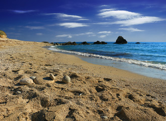 Idyllic tropical sand beach