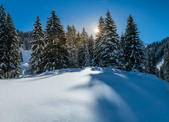 Fototapeta na wymiar Schneeschuhwandern im Diemtigtal, Berner Oberland