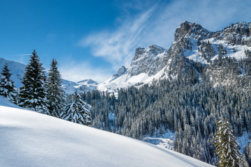Fototapeta na wymiar Schneeschuhwandern im Diemtigtal, Berner Oberland