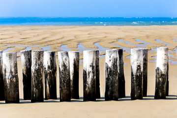 éperons sur la plage