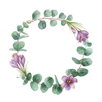 Watercolor vector round wreath with eucalyptus leaves and flowers of saffron.