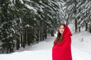 Red riding hood in the frozen forest