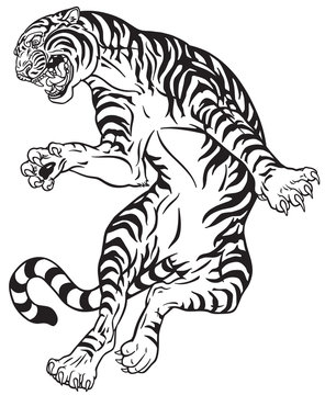 angry tiger in the jump. Black and white tattoo style vector illustration
