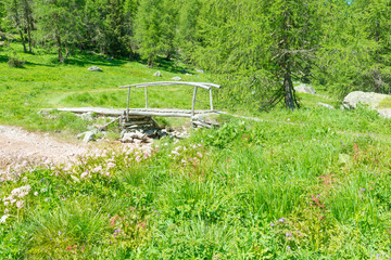 Summer day in the Alps. Path and bridge across the pond. Wild meadow flowers. Forest landscape in summer. Walk in the canton of Grisons. Switzerland.