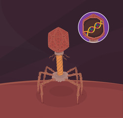 Bacteriophage Virus