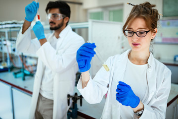 Group of students working at the laboratory