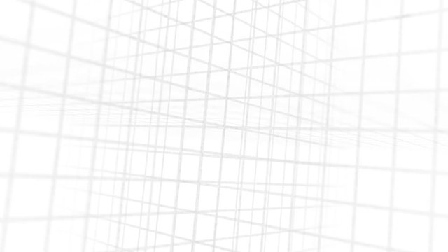 Grid Texture Backdrop White
